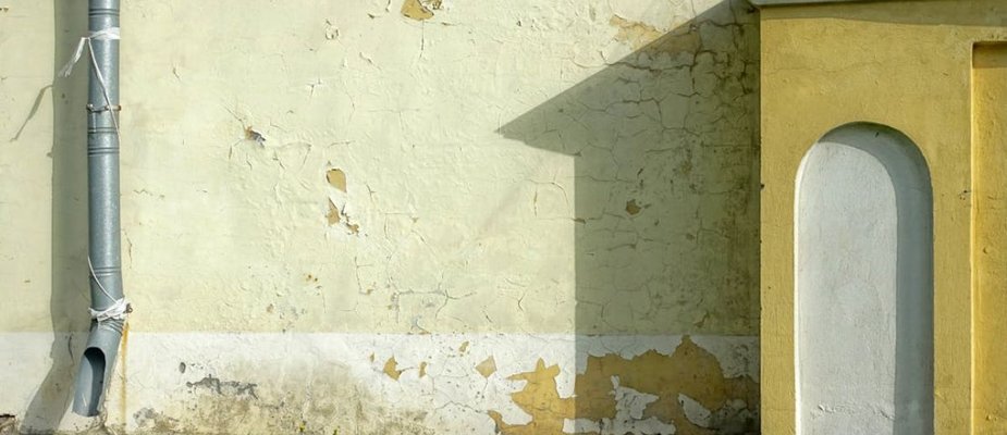 Como tirar mofo da parede? Dicas simples para deixar sua casa livre da umidade!