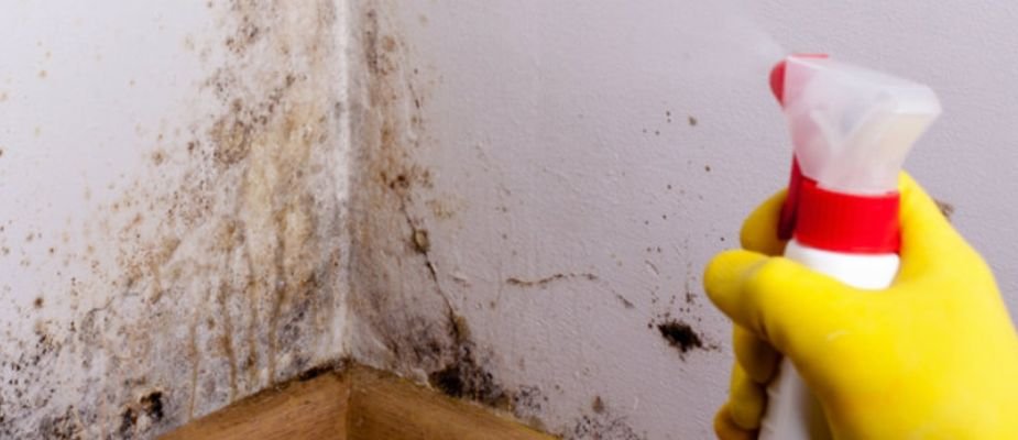 Como acabar com o mofo na parede do quarto
